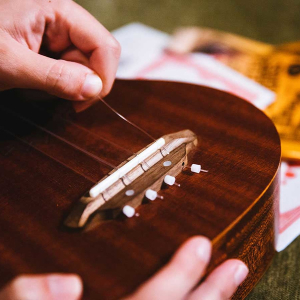 Ernie Ball 2330 Low G Číre Struny Concert/Tenor